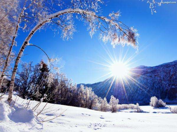 winter view jigsaw puzzle online