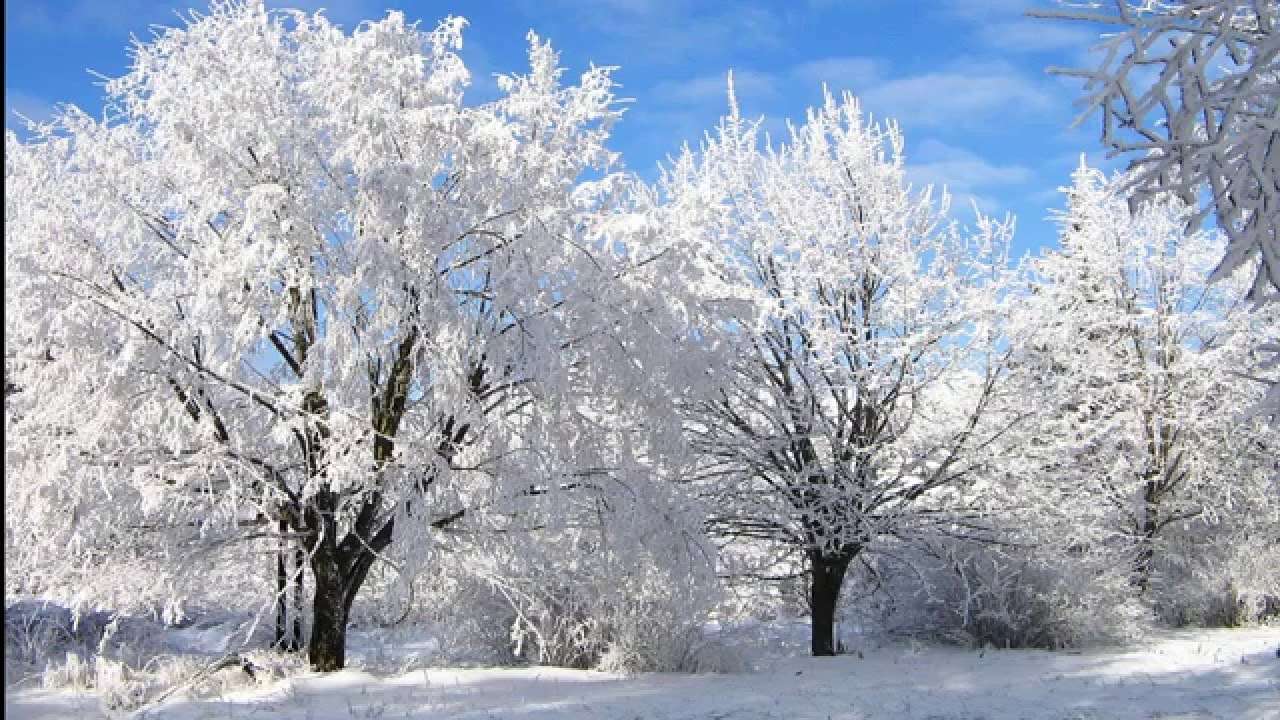 Un hiver blanc merveilleux puzzle en ligne