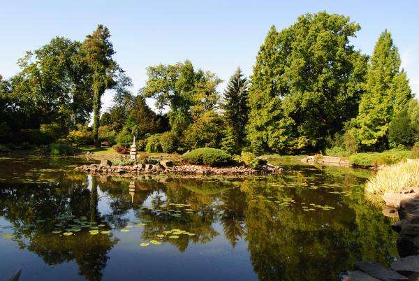 Jardín japonés en Breslavia rompecabezas en línea