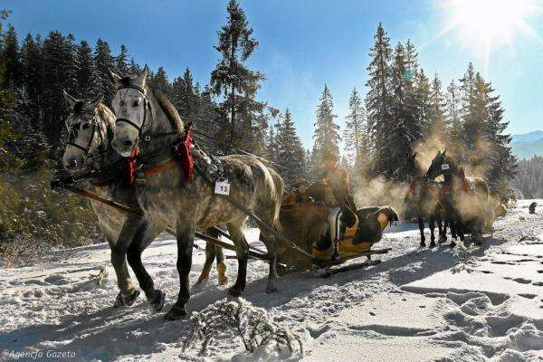 sleigh ride in Zakopane jigsaw puzzle online