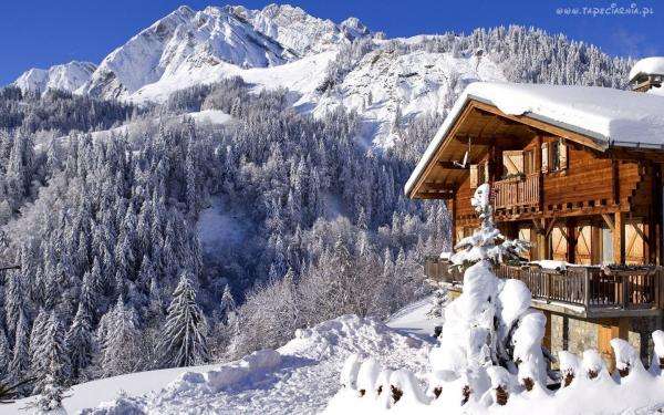Shelter in winter jigsaw puzzle online