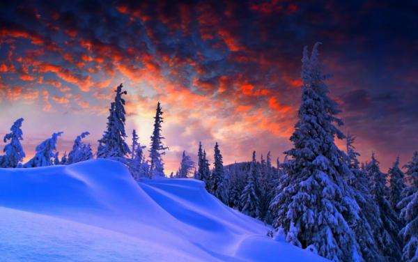 winter and its charms jigsaw puzzle online