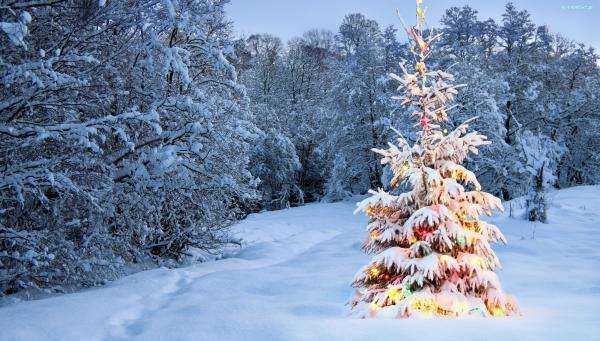 albero di Natale splendente puzzle online