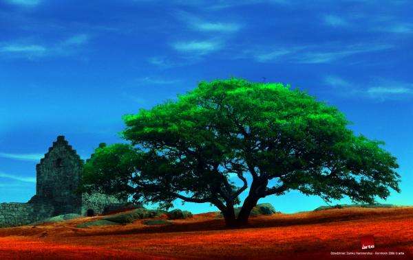 very large tree jigsaw puzzle online