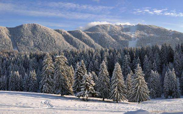 Winter in the mountains jigsaw puzzle online