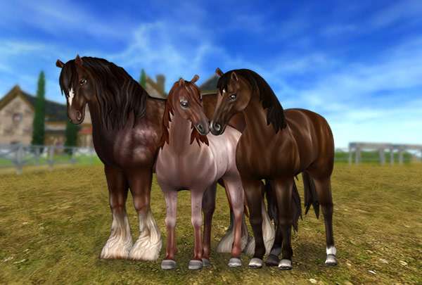 3 hästar från Star Stable Online Pussel online