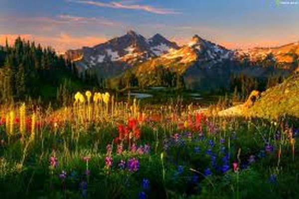 mountain peaks, flowers jigsaw puzzle online