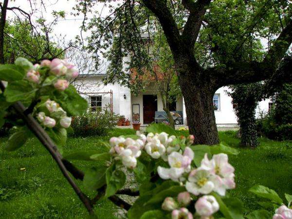 a house in a cherry orchard jigsaw puzzle online