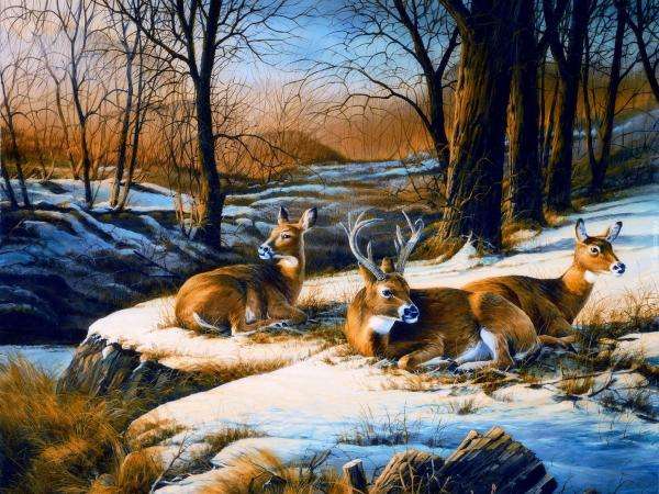 deer with roe deer jigsaw puzzle online