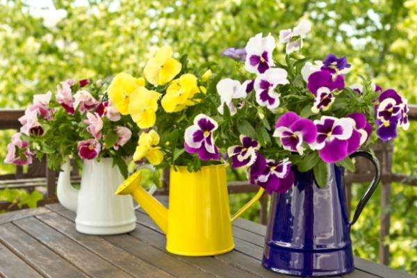 tre vasi di fiori puzzle online