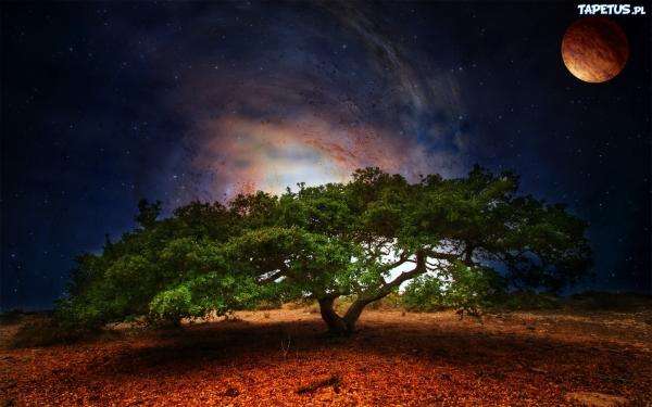 magnificent tree jigsaw puzzle online