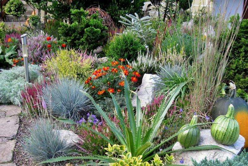 Треви, храсти в градината онлайн пъзел