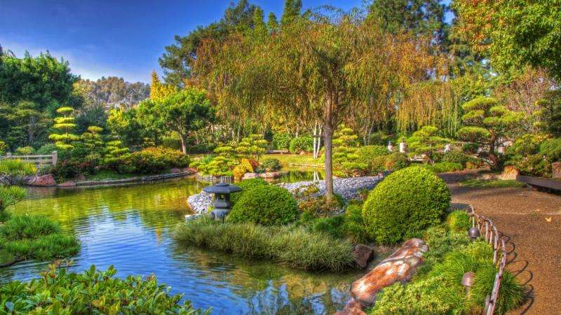 Japanese garden online puzzle