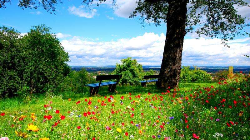 a great place to rest jigsaw puzzle online