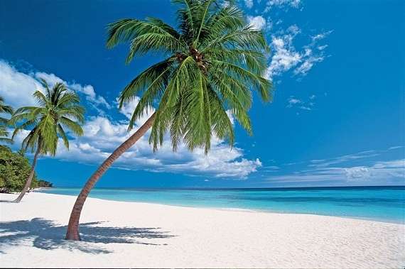 Пляж в Доминикане онлайн-пазл