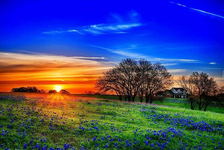 Texas, farma, východ slunce online puzzle
