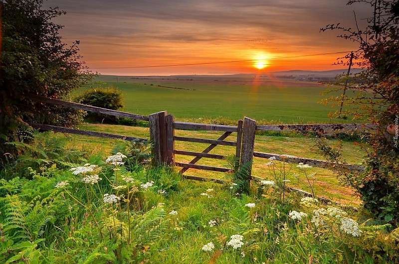 Meadows, fence, sunrise online puzzle
