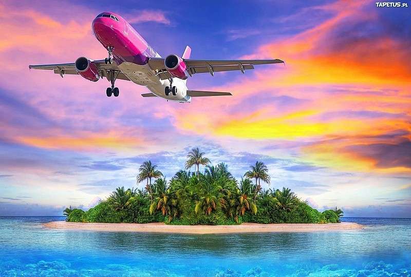 Pink airplane over the ocean jigsaw puzzle online