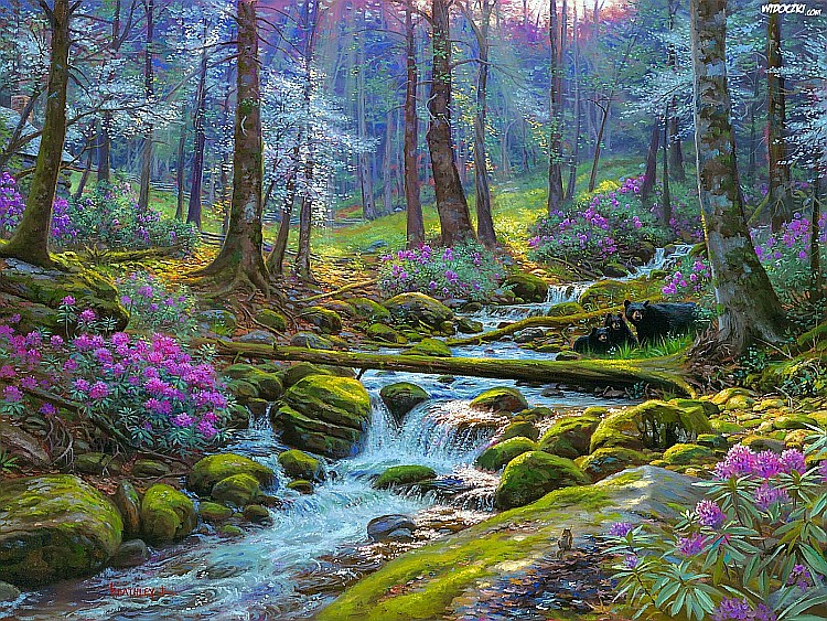 Un pârâu în pădurea pădurii puzzle