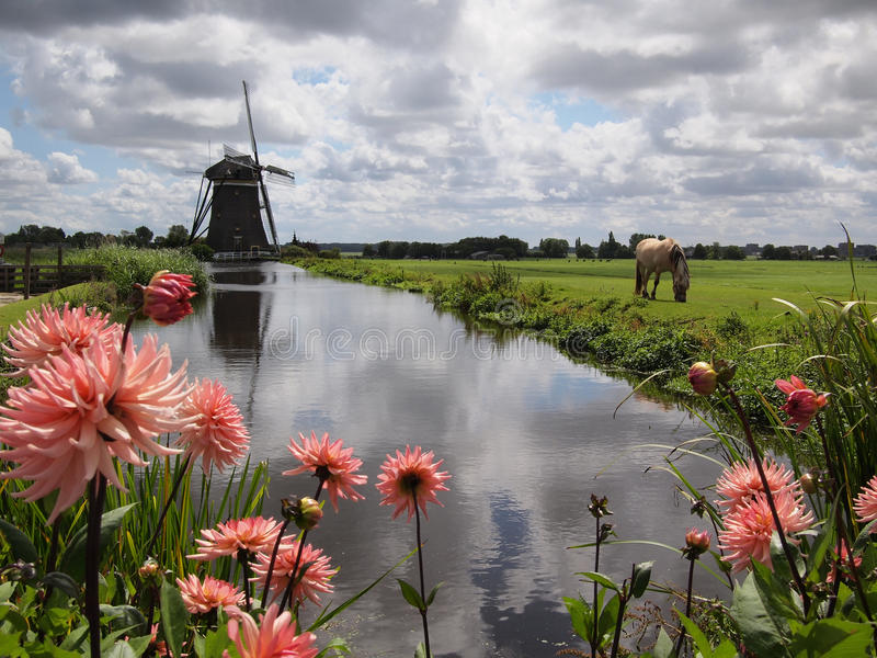 Holanda, paisagem com flores puzzle online