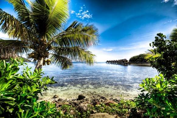 tropische Insel Online-Puzzle