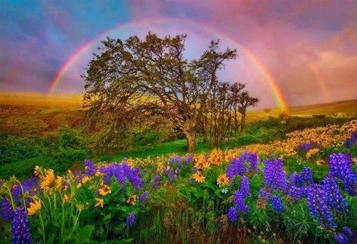 Albero arcobaleno puzzle online