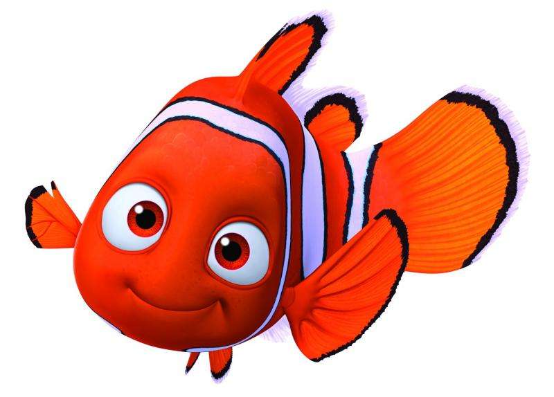 Nemo - wo ist Nemo? Online-Puzzle