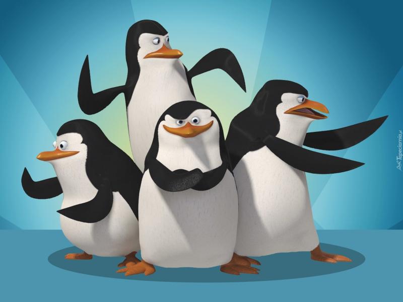 Madagaszkár pingvinek online puzzle