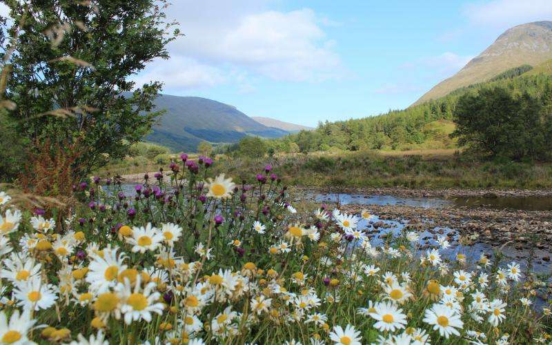 Skócia, hegyek, folyó kirakós online