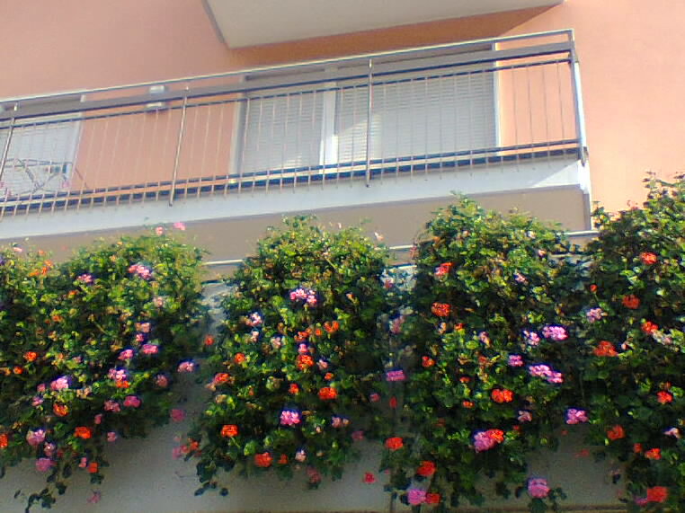 Ślicne kwiaty na balkonie  rompecabezas en línea