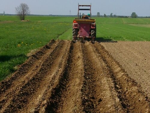 tractor on a potato field jigsaw puzzle online