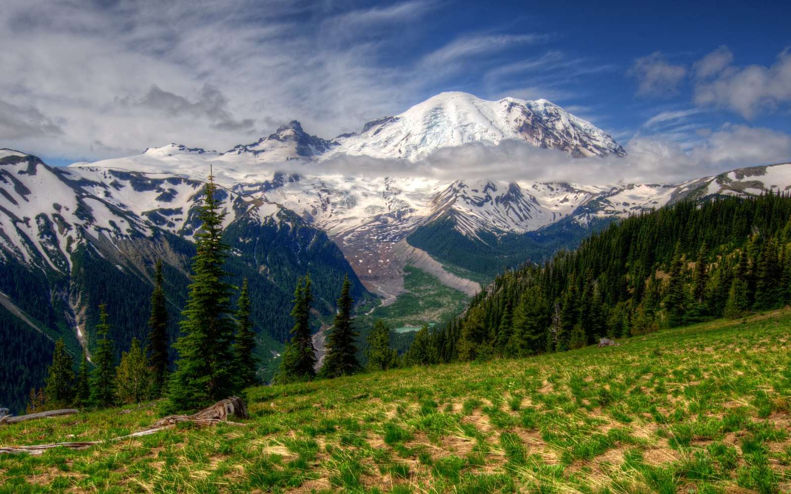 mountains, snow, green meadow online puzzle