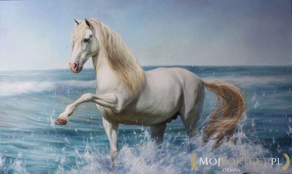 Bílý a krásný kůň online puzzle