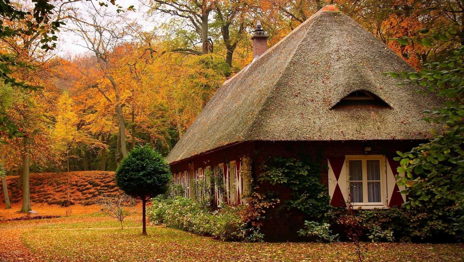 Een hut in het bos online puzzel