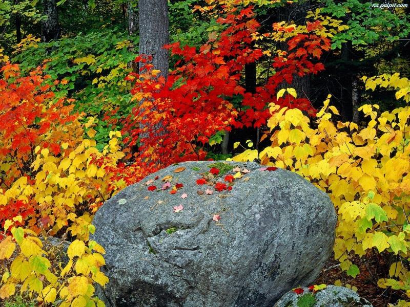 autumn stone jigsaw puzzle online