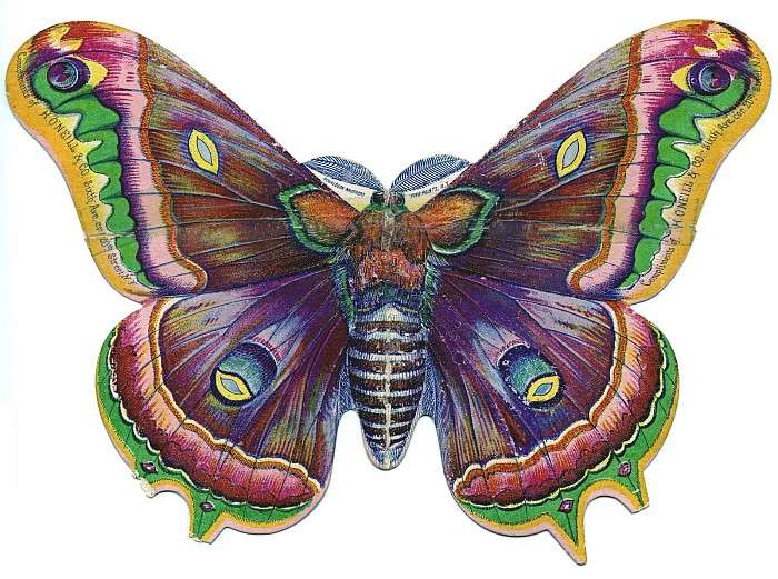 Butterfly moth graphics jigsaw puzzle online