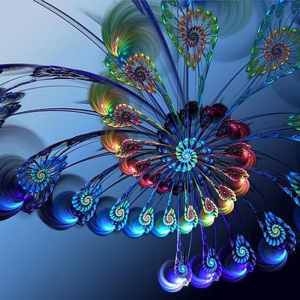Květina paví peří grafiky skládačky online