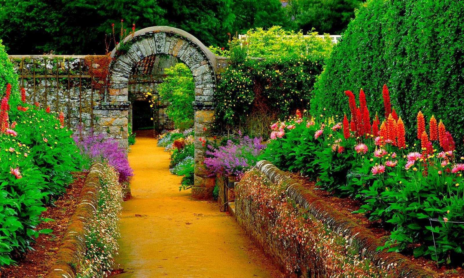 giardino colorato puzzle online
