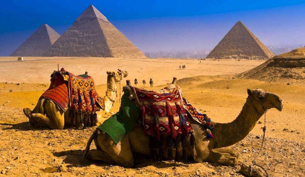camels online puzzle