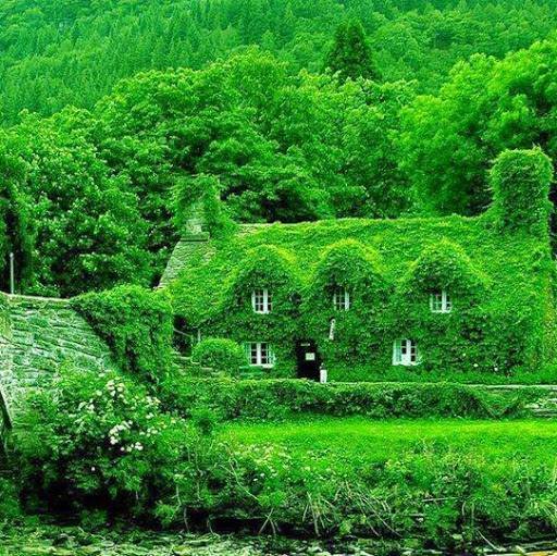 Una casa in Galles puzzle online