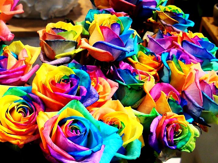 Fantasztikus rózsa színek kirakós online