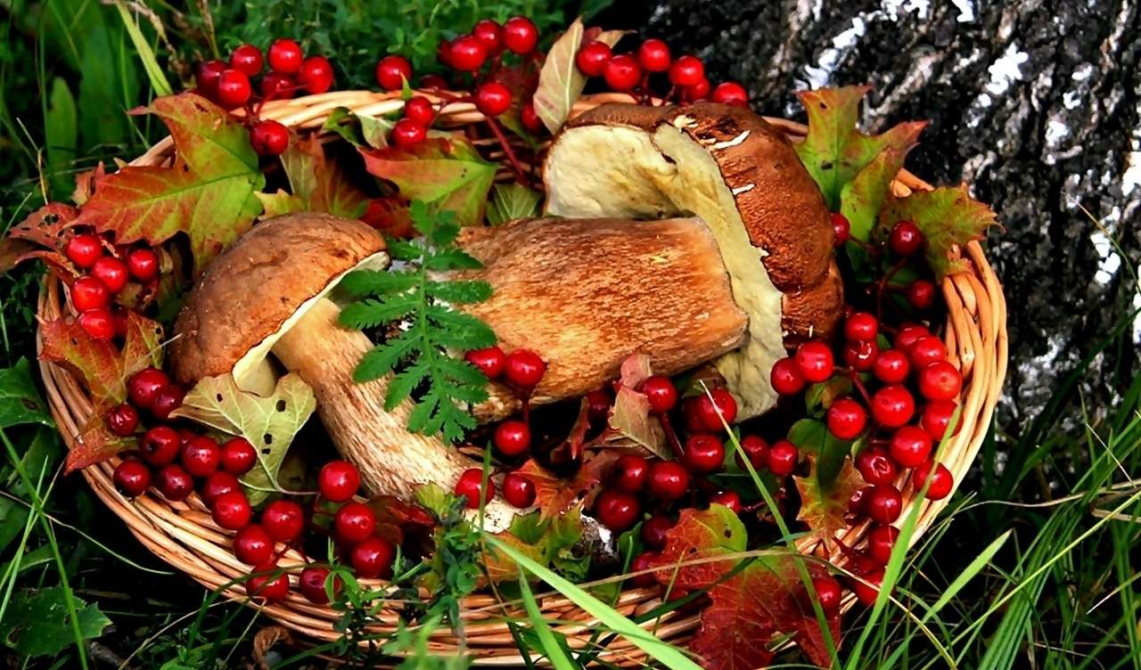 Basket with mushrooms jigsaw puzzle online