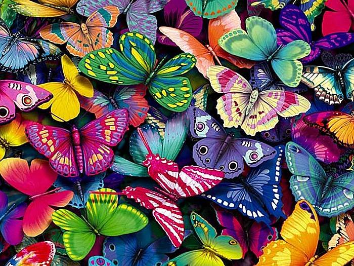 Obrázek barevných motýlů online puzzle