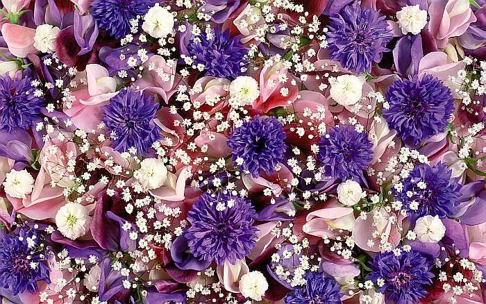 Снимка с цветни цветя онлайн пъзел