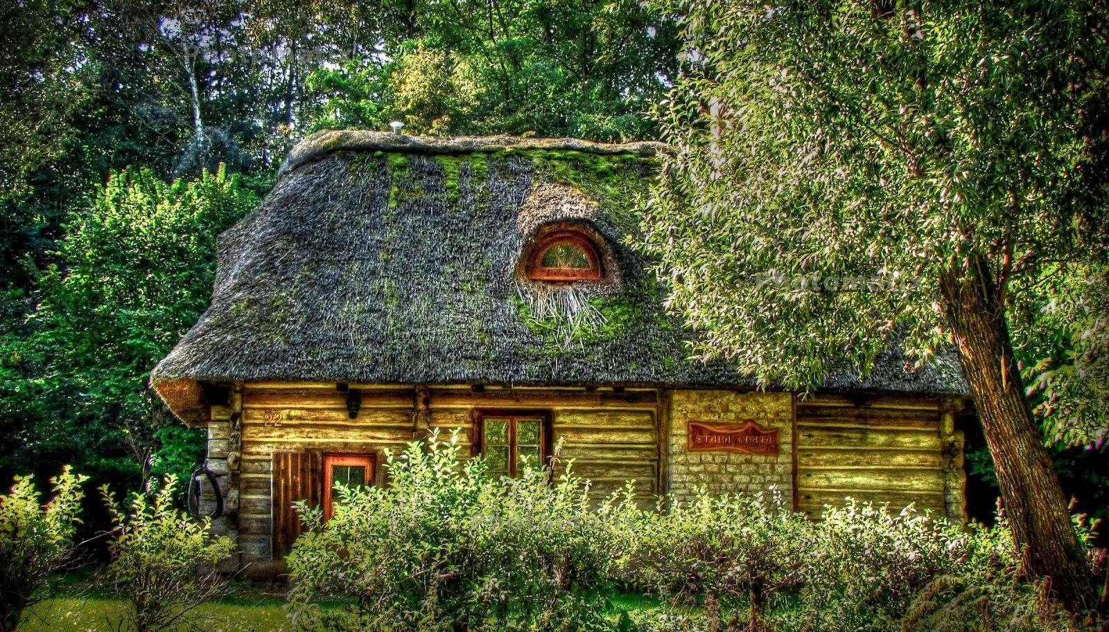 Eine Hütte im Wald Puzzlespiel online
