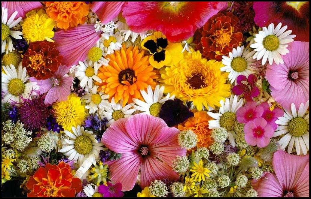 floral composition jigsaw puzzle online