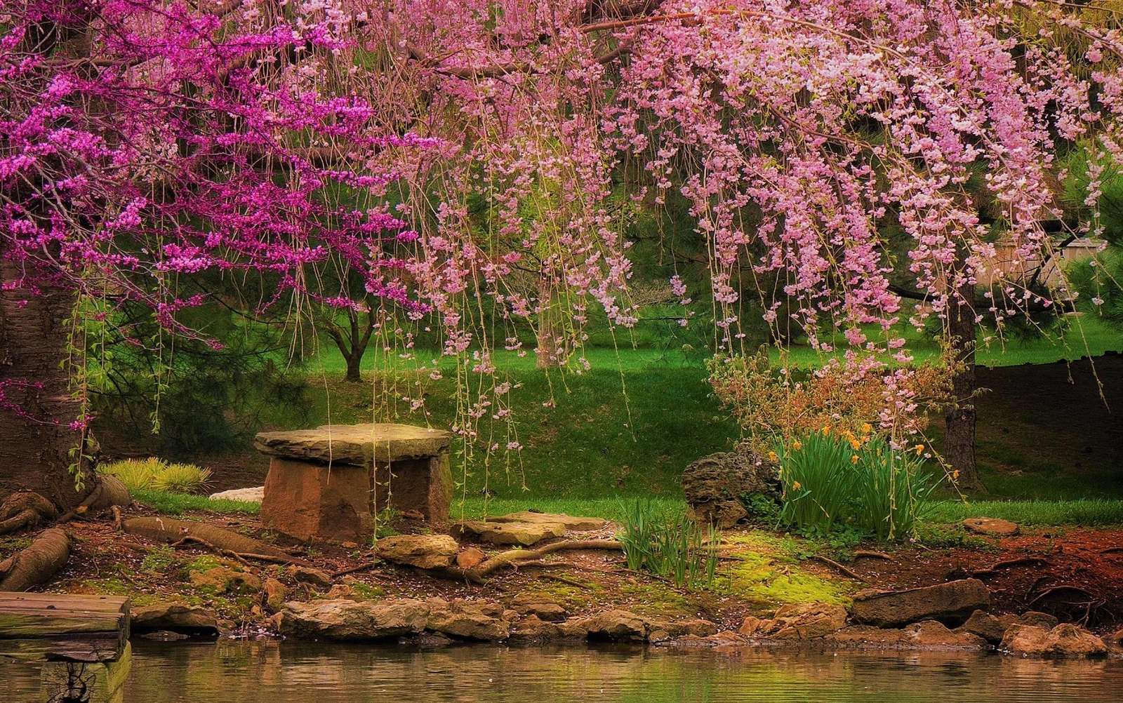 Spring park jigsaw puzzle online