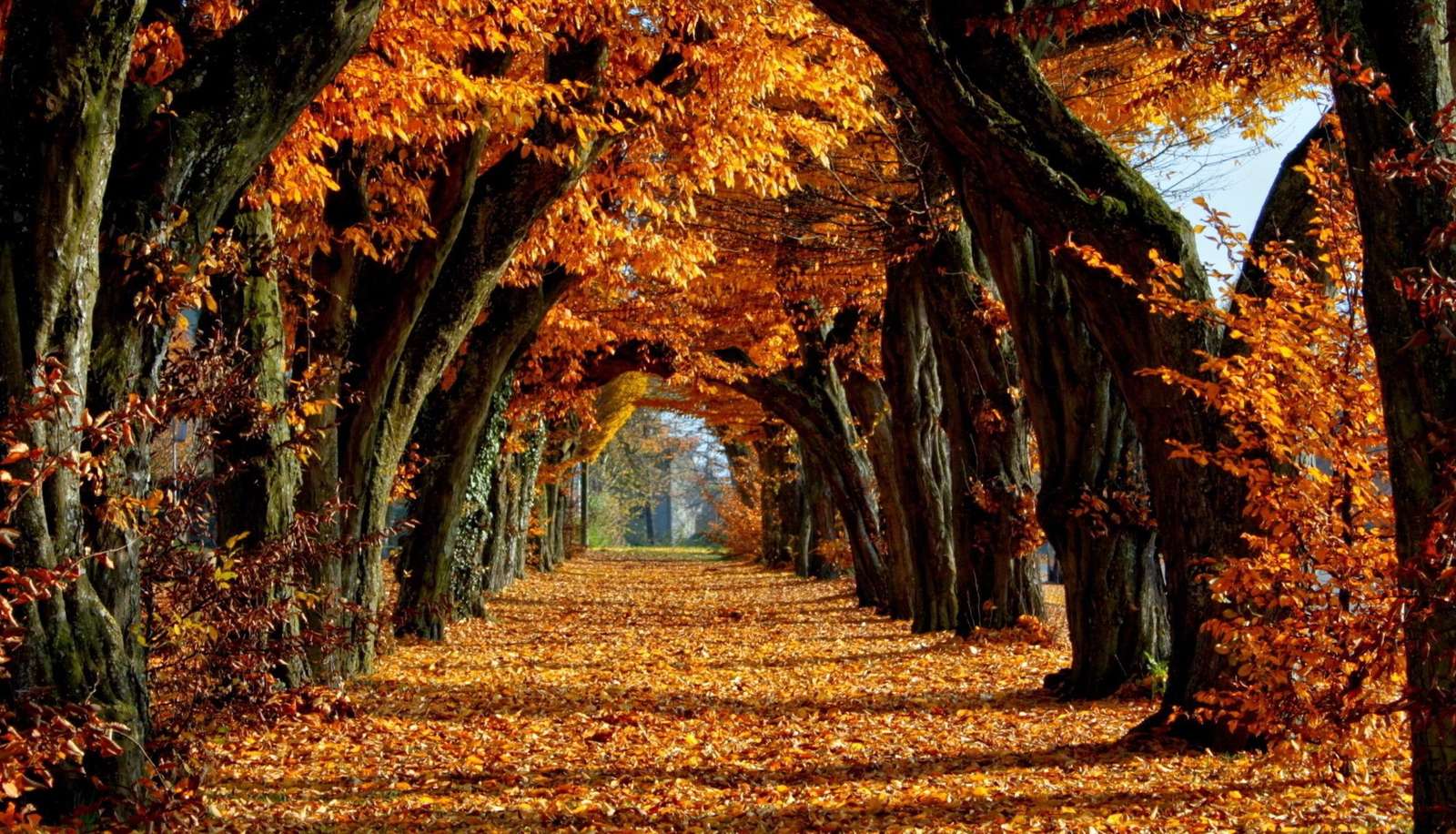 Есента в парка онлайн пъзел