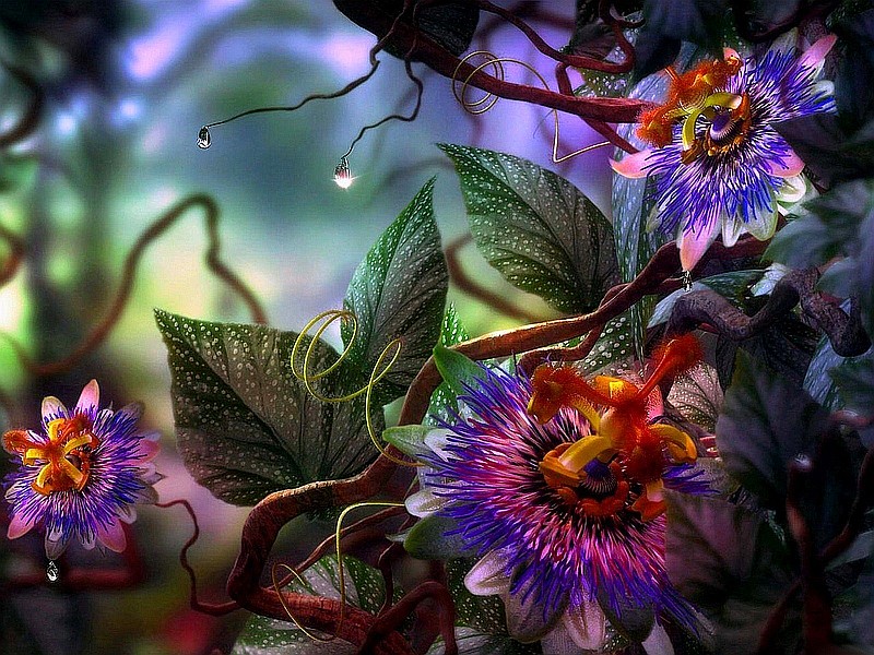 Graficky barevné květiny skládačky online