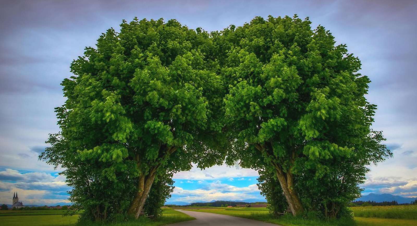 Green trees jigsaw puzzle online